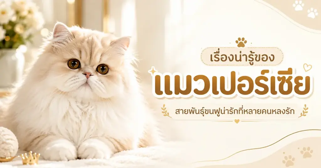 เปอร์เซีย
